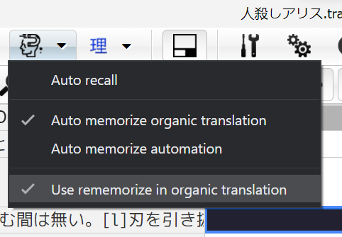 Translation Memory Auto-substitution